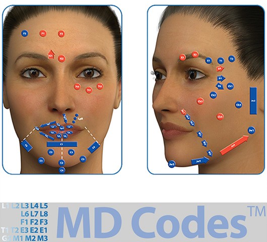 harmonisation du visage MD Codes™
